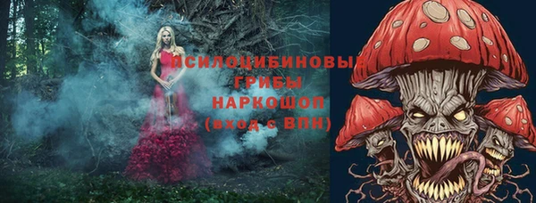 mix Верея